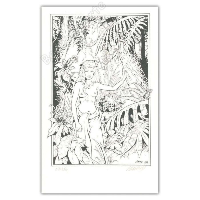 Arnaud - Pin Up Savane